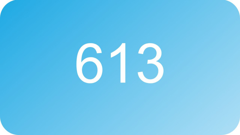 613