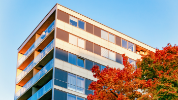 Mehrfamilienhaus und Herbstbaum