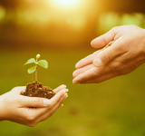 Weitergabe an neue Generation